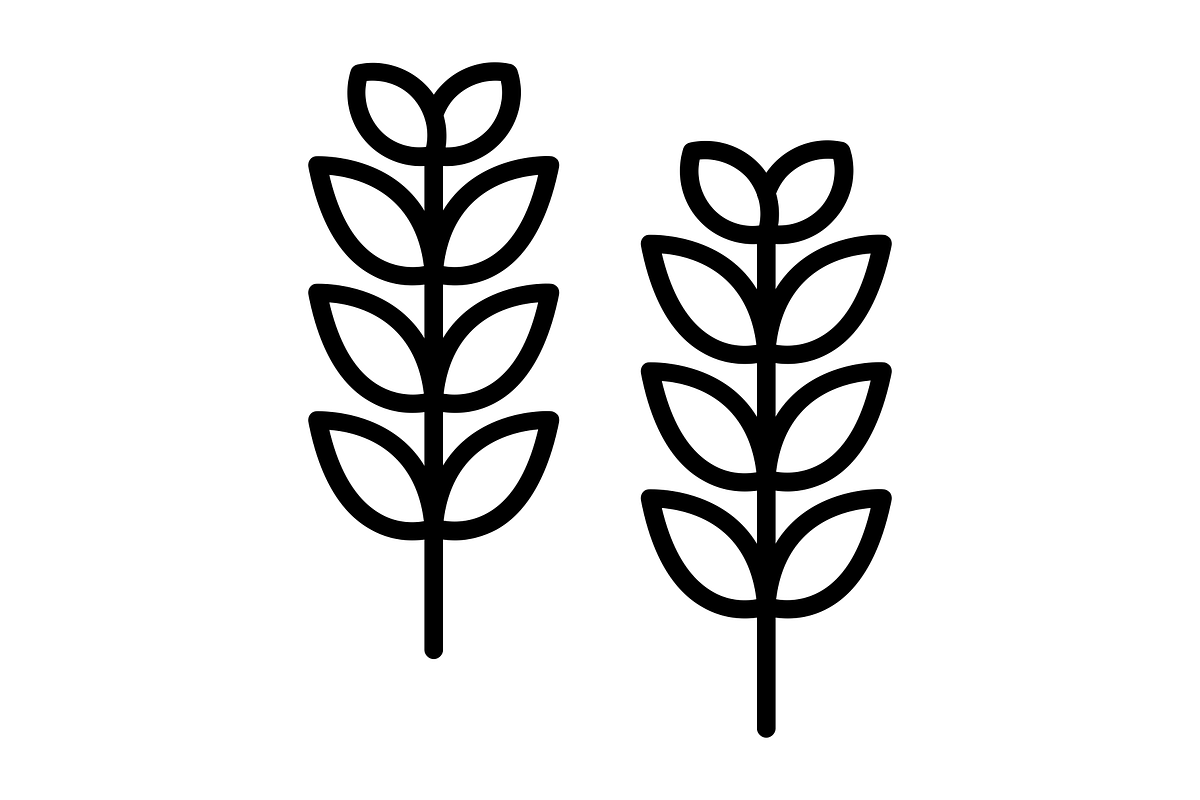 Wheat Line Icon, an Icon by Pexelpy (Photo 2 of 2)