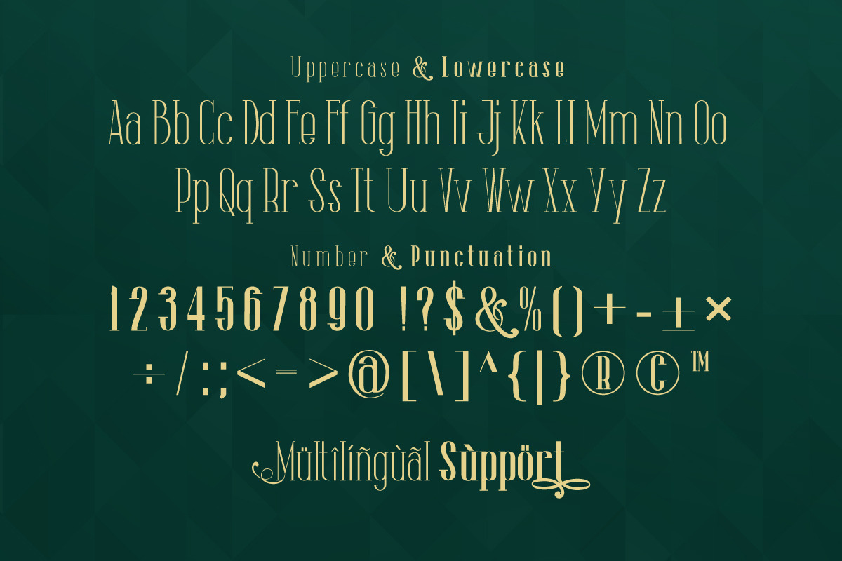 The Lingke - Modern Serif Font, a Serif Font by Afkari Studio (Photo 2 of 14)