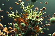 52 Fictional Microscopic Organisms, an Abstract Photo by h.utomo (Thumbnail 3 of 52)
