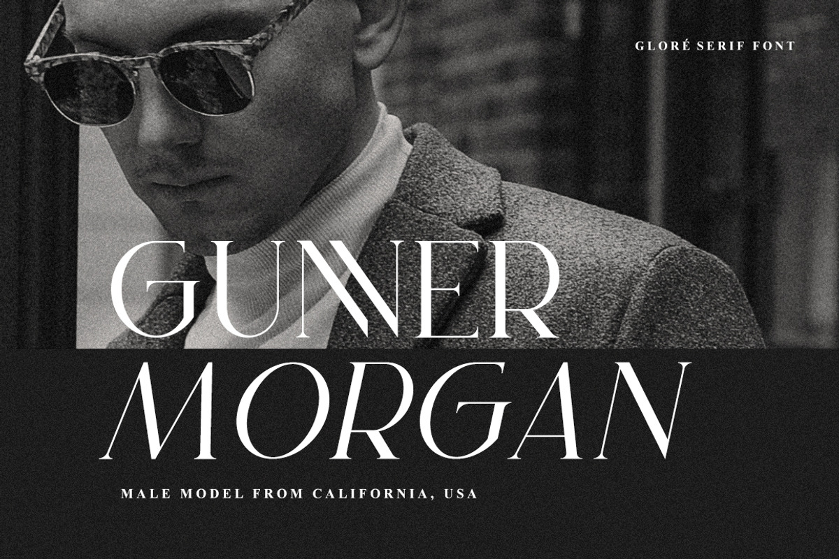 Gloré Modern Ligature Font, a Serif Font by Heinzel Std (Photo 2 of 18)