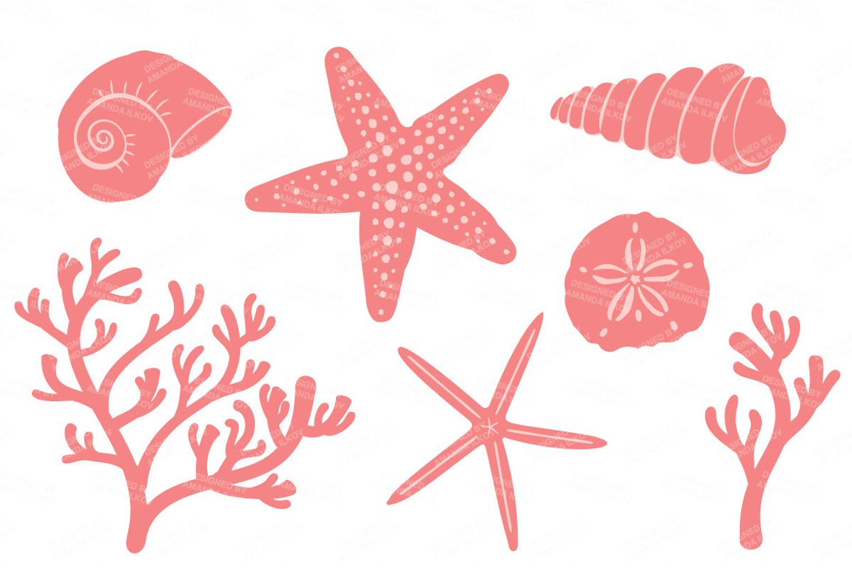 Seashells Clipart in Mint & Coral, an Illustration by Amanda Ilkov (Photo 4 of 5)