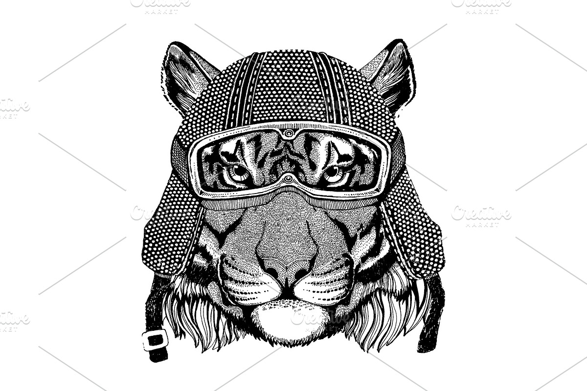 Animal wearing motorycle helmet, an Animal Illustration by Doodle