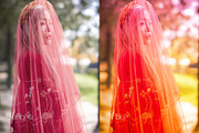 30 Gradient Background, a Background Graphic by Studio Angel Arts (Thumbnail 9 of 17)
