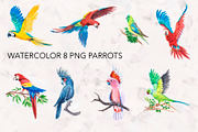 Parrots. Watercolor exotic BIRDS, an Illustration by lilisavelieva (Thumbnail 2 of 5)