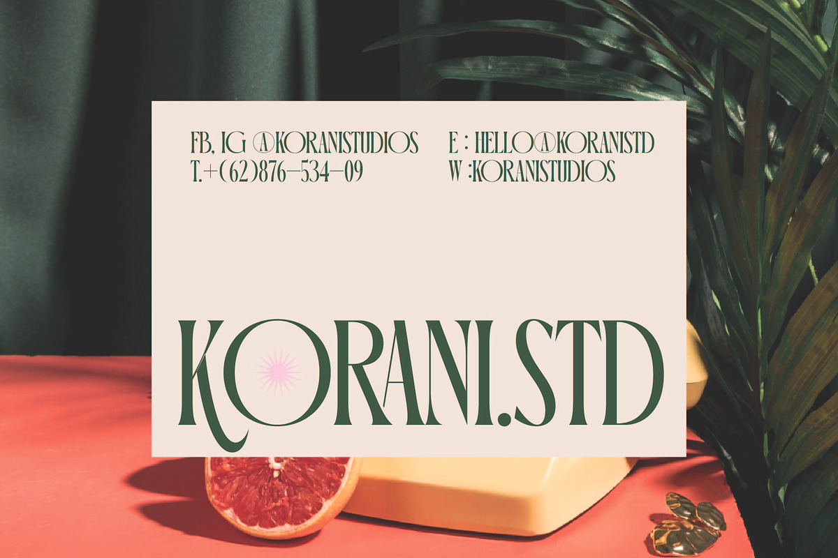 Orleans Brightens Modern Serif, a Serif Font by timelesstype.co (Photo 2 of 15)
