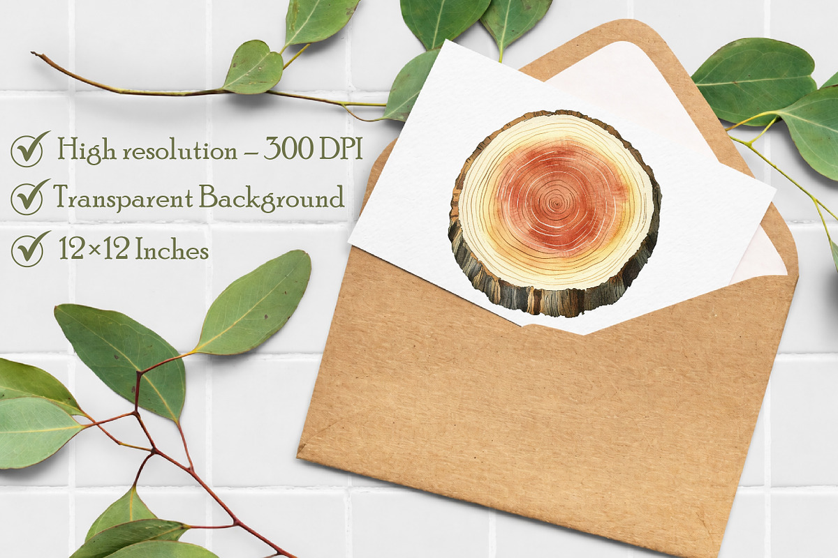 Watercolor Wood Slice Clipart, an Illustration by Libby Wishes (Photo 5 of 5)