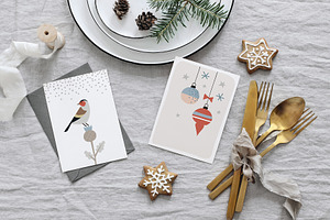 Winter Birds Christmas Set