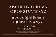 Qilsand Elegant Ligature Serif, a Serif Font by Alfinart (Thumbnail 7 of 10)