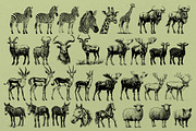330 ZOO Animals vector illustrations, an Animal Illustration by Nocturnal Wolf (Thumbnail 13 of 18)