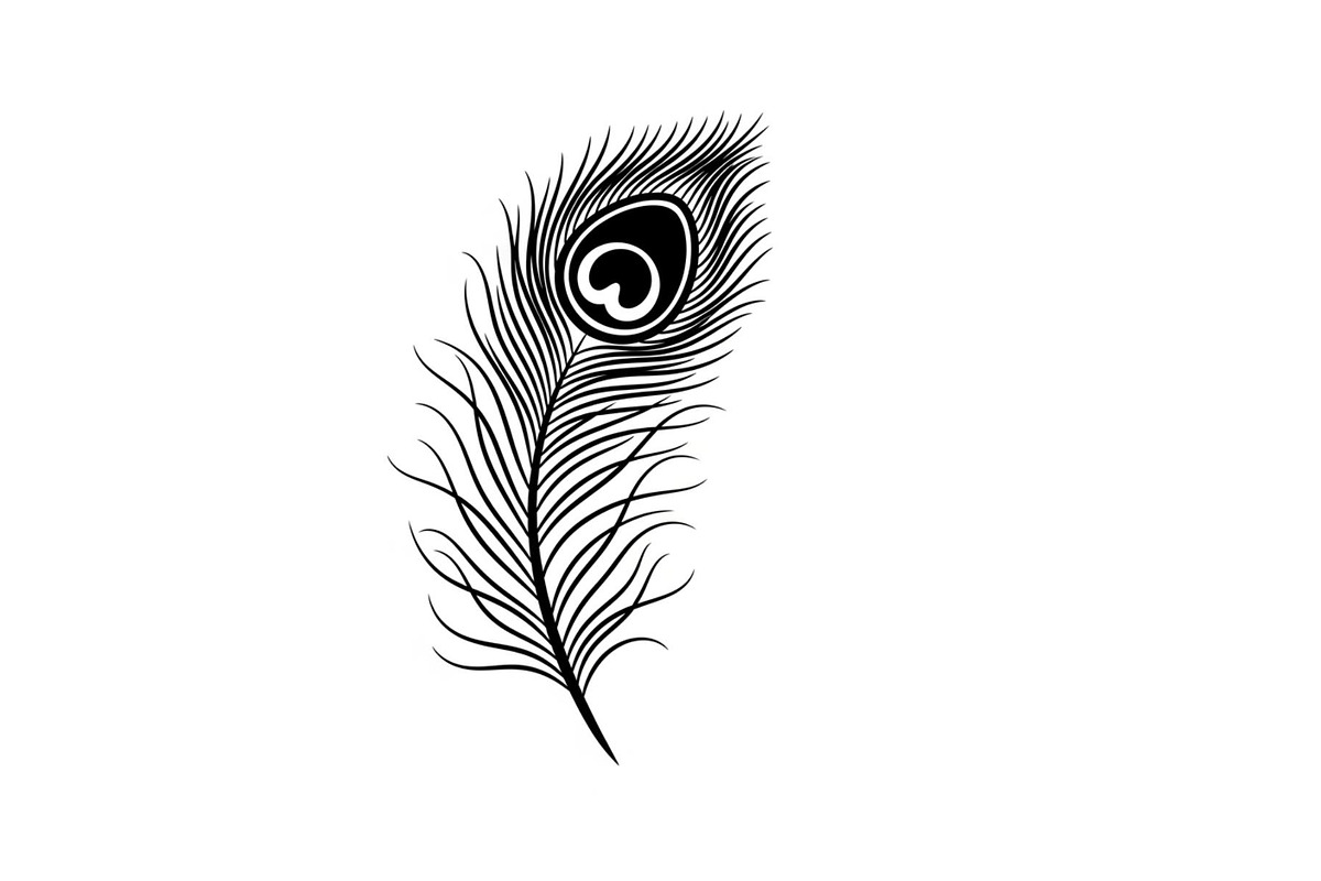 Peacock Feather Silhouette Bundle, an Illustration by jahid234 (Photo 5 of 31)