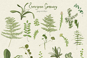 Greenery & Ferns PNG Illustrations, a Decorative Illustration by whiteheartdesign (Thumbnail 5 of 19)