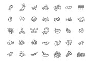 Plant Seed and Nuts vector icon set, an Object Illustration by Tettygreen (Thumbnail 1 of 3)