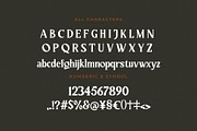 Regano Qingsta - Vintage Serif Font, a Serif Font by Lettermine (Thumbnail 8 of 10)