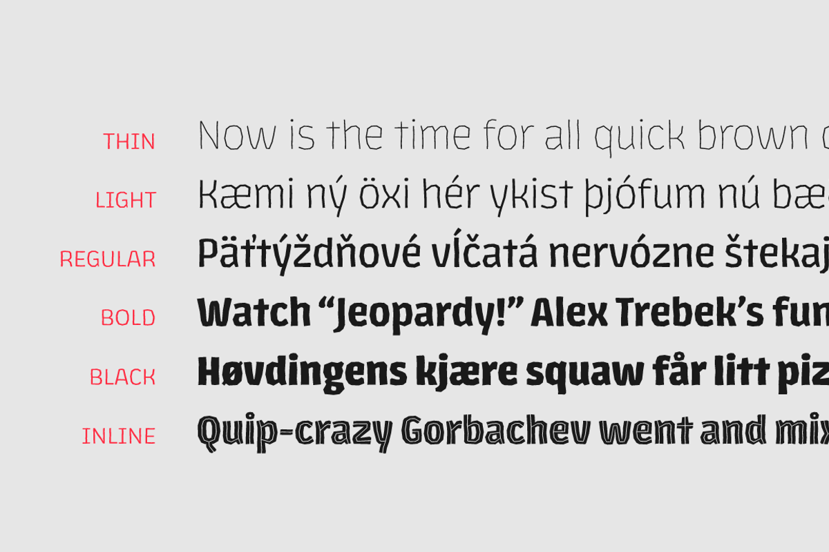Los Lana Niu, a Handwritten Font by Latinotype (Photo 13 of 14)