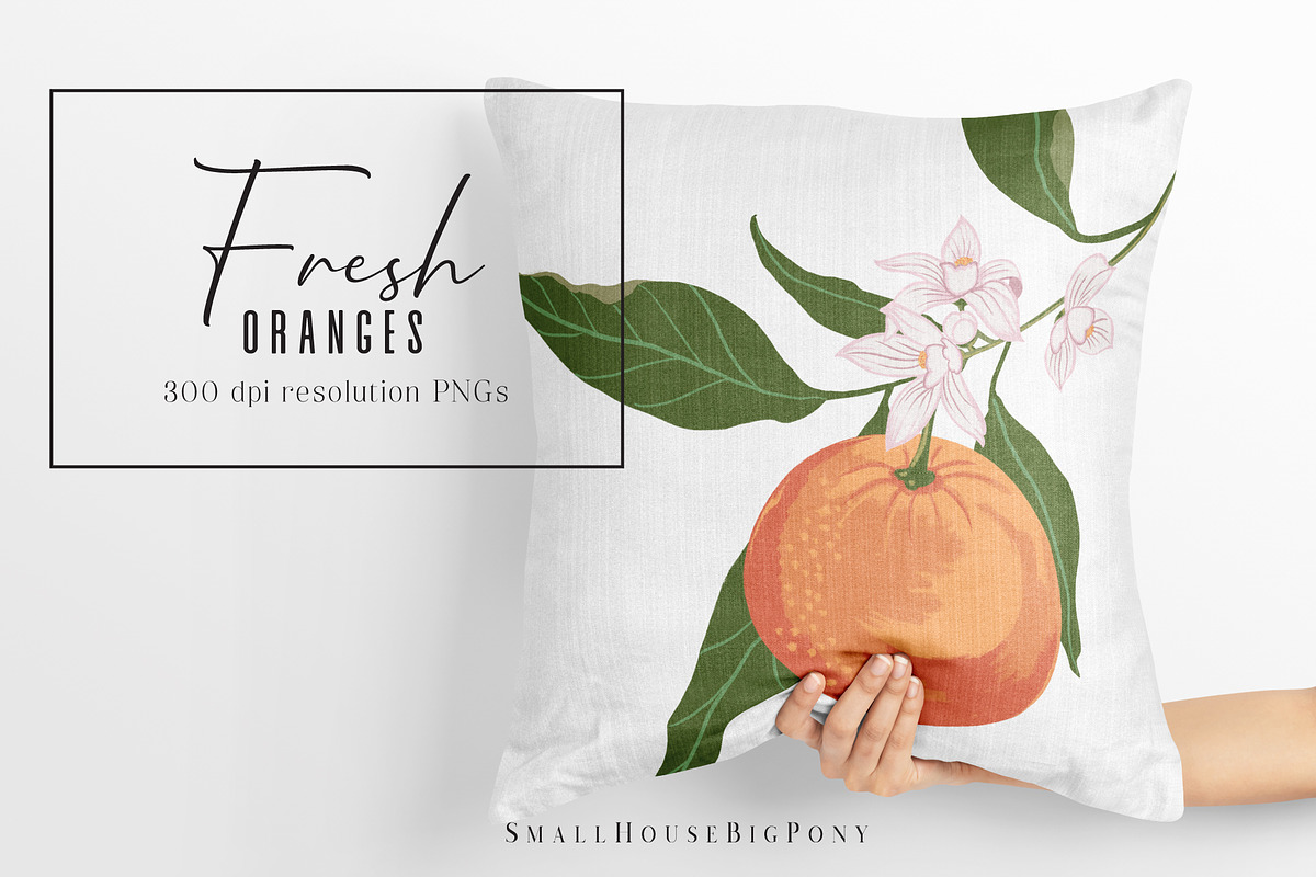 Fresh Oranges Clip art Set, a Graphic by SmallHouseBigPony (Photo 9 of 9)