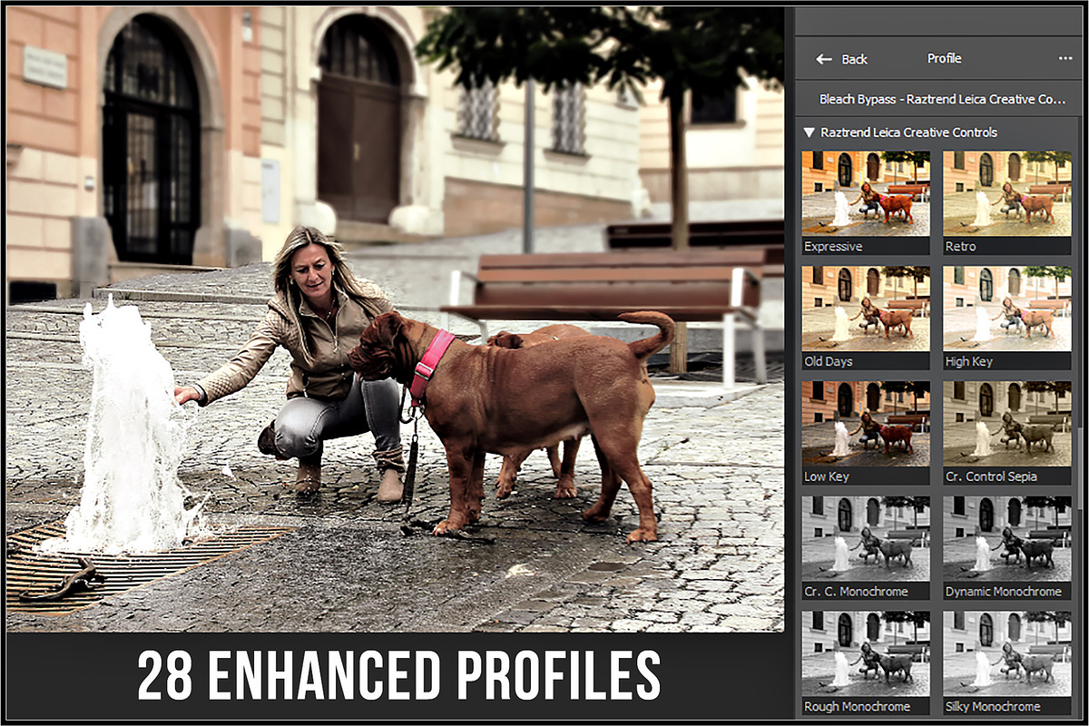 Leica Creative Controls Profiles, a Plug-in Add-On by Raztrend (Photo 2 of 30)