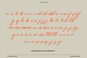 VS Grandma's Recipe Handwritten Font, a Script Font by Vicarel Studios (Thumbnail 14 of 16)