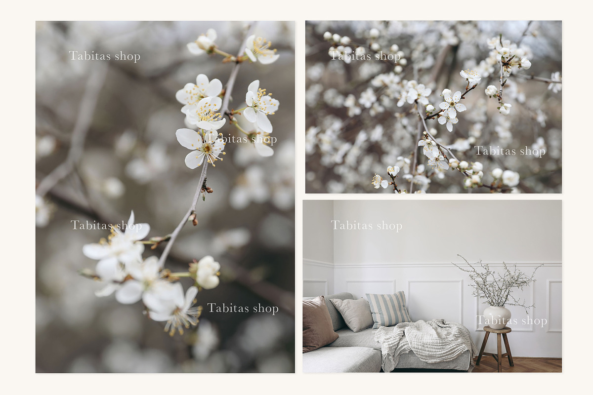 Spring picture frames & card mockups, an Advertising Mockup by Tabita's shop (Photo 8 of 9)