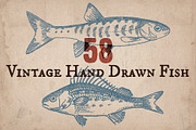 58 Vintage Hand Drawn Fish, a Food Illustration by Mr Vintage (Thumbnail 1 of 5)