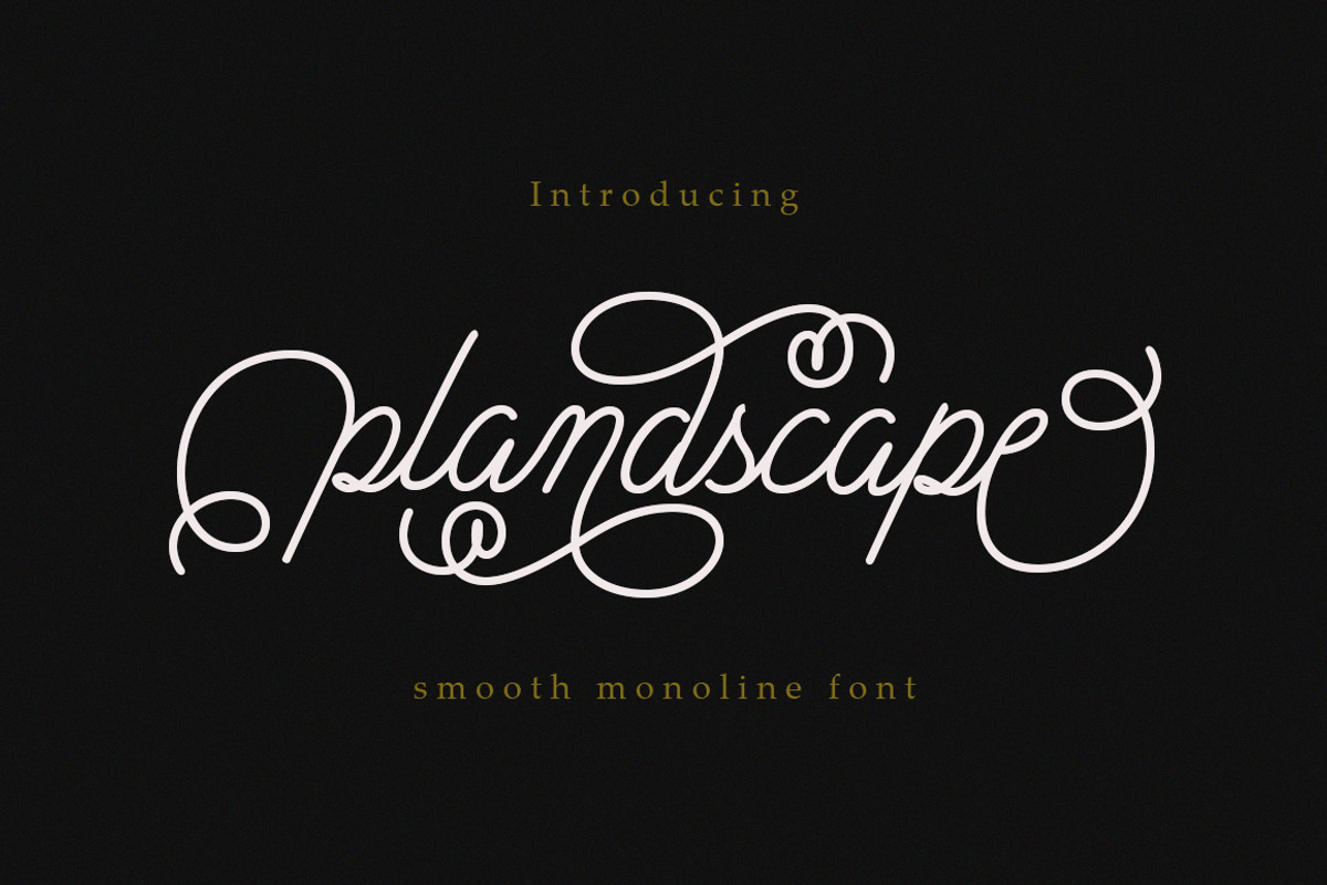 Plandscape smooth monoline font, a Script Font by akrtype (Photo 1 of 8)