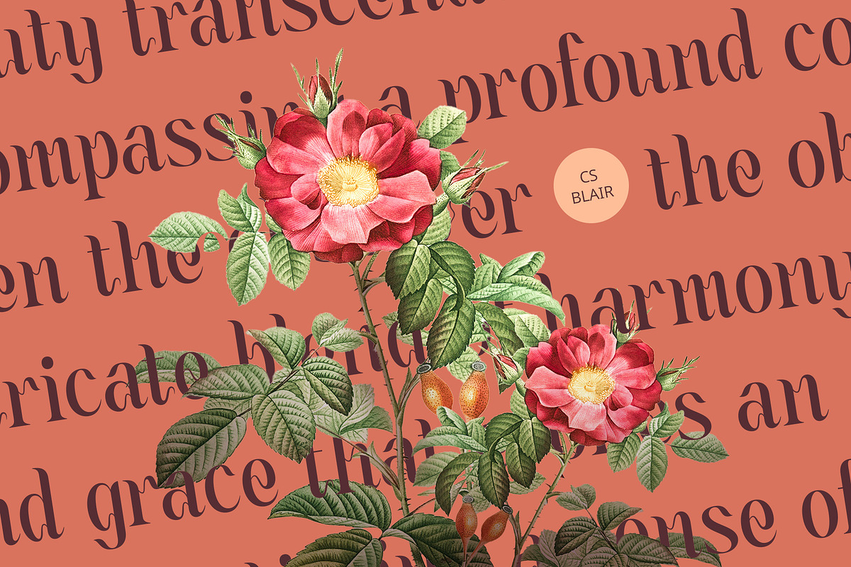 CS Blair – Art Nouveau Font, a Serif Font by Craft Supply Co. (Photo 6 of 8)