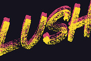 Lush - Brush Font, a Script Font by Tugcu Design Co. (Thumbnail 4 of 4)