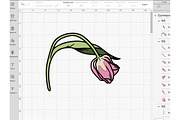 Tulip svg dxf png, flower clipart, an Object Illustration by Bila Vorona (Thumbnail 3 of 5)