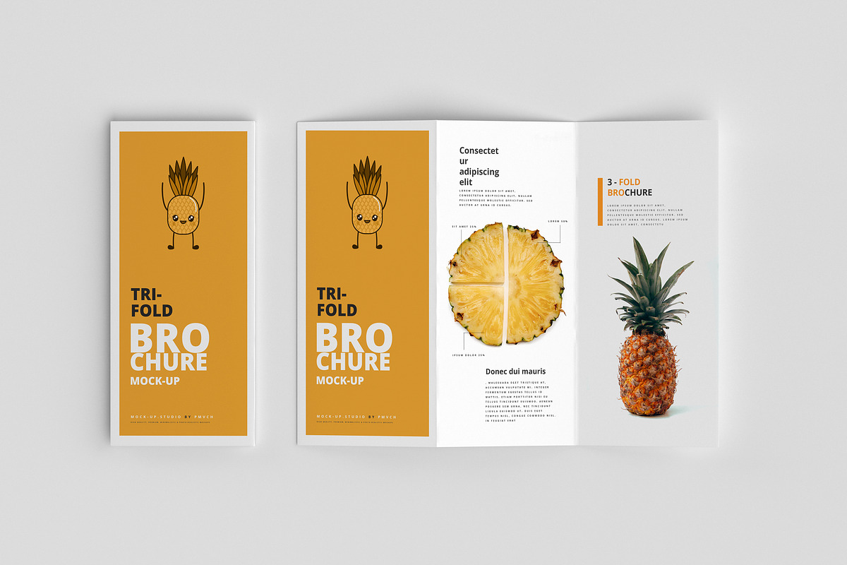 3-Fold (Tri-Fold) Brochure Mockups, a Print Template by pmvch (Photo 6 of 11)