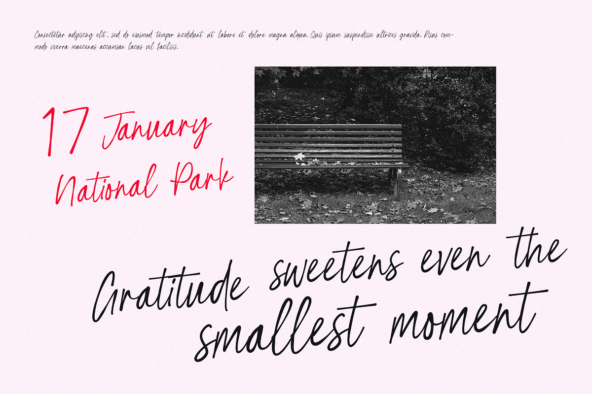 Befinal Cotin Elegant Casual Script, a Script Font by Maulana Creative (Photo 5 of 7)
