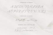 Wantemar - modern calligraphy font, a Script Font by Quothron (Thumbnail 4 of 9)