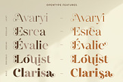 Regality Display, a Serif Font by Digitype Studio (Thumbnail 8 of 11)