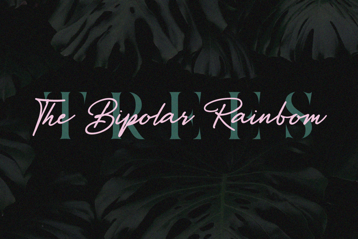 Paperlane Font | FontCypress