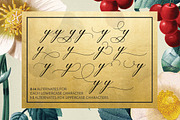 Diplomatic Font, a Script Font by Ivan Rosenberg (Thumbnail 7 of 10)