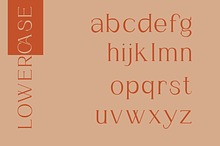 Chrysalara Serif Typeface