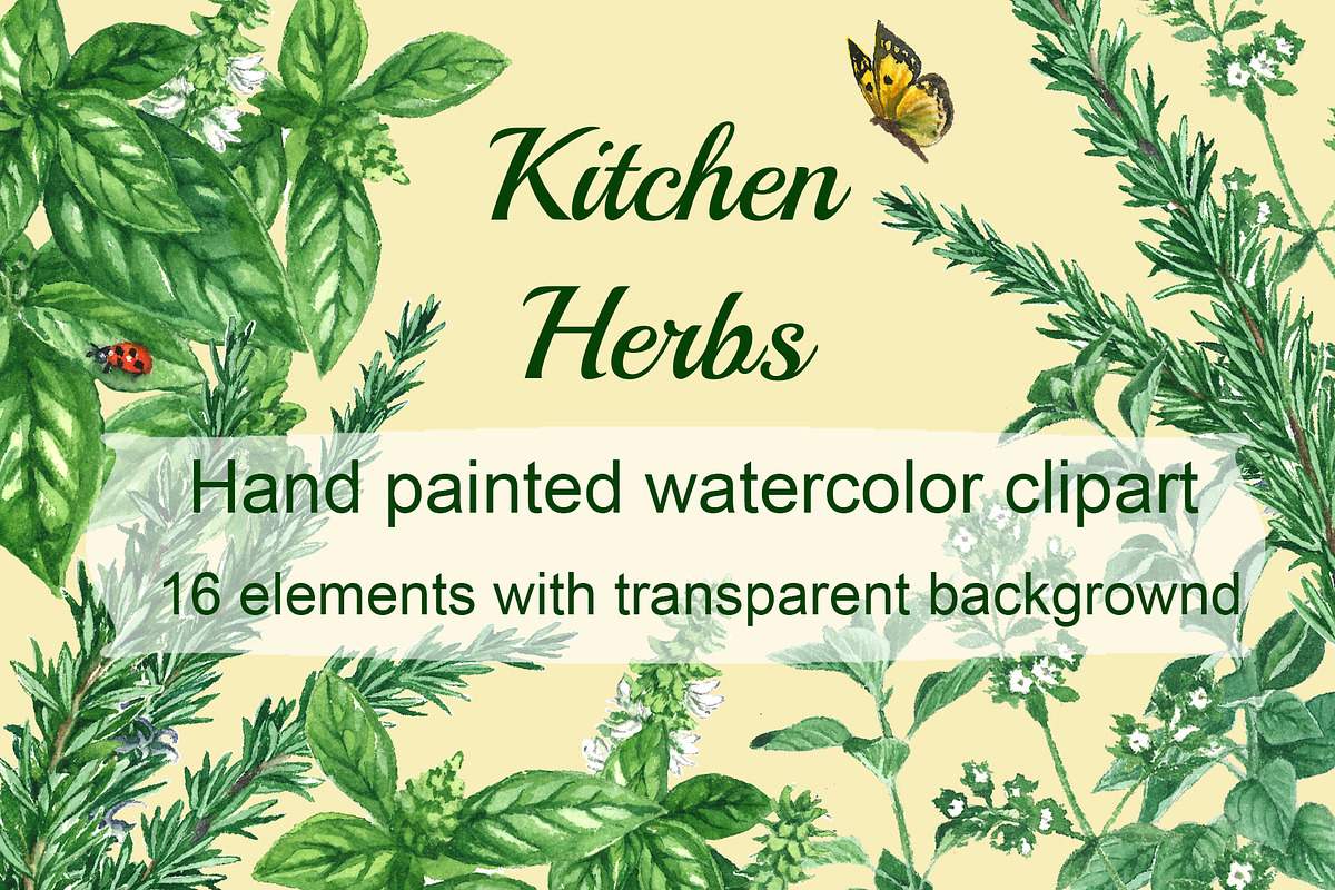 Kitchen Herbs Clipart, a Decorative Illustration by IrStepShop (Photo 1 of 4)