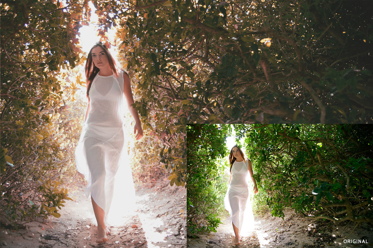 Autumn Action, an Action Add-On by beto (Photo 4 of 5)
