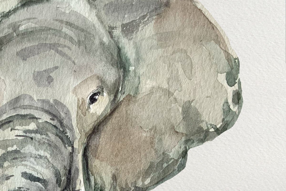 Watercolor Elephants Clip Art, an Illustration by Tati Bordiu (Photo 2 of 4)