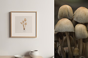 Mushrooms Watercolor Clipart, an Education Illustration by Ooh Lily (Thumbnail 5 of 8)