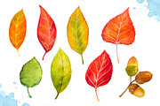 Autumn leaves. Watercolor set., a Decorative Illustration by AlexGreenArt (Thumbnail 5 of 11)