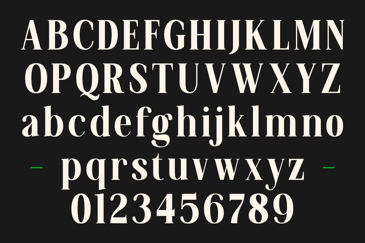 Fodera Elegant Expressive Modern, a Serif Font by OV Type (Photo 9 of 10)