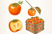 Watercolor Persimmon Fruit Clipart, an Illustration by Libby Wishes (Thumbnail 5 of 5)