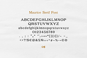 Maurice Textured Serif, a Serif Font by gafaroff studio (Thumbnail 7 of 7)