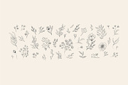 Hand drawn foliage collection, a Decorative Illustration by Merfin (Thumbnail 2 of 5)
