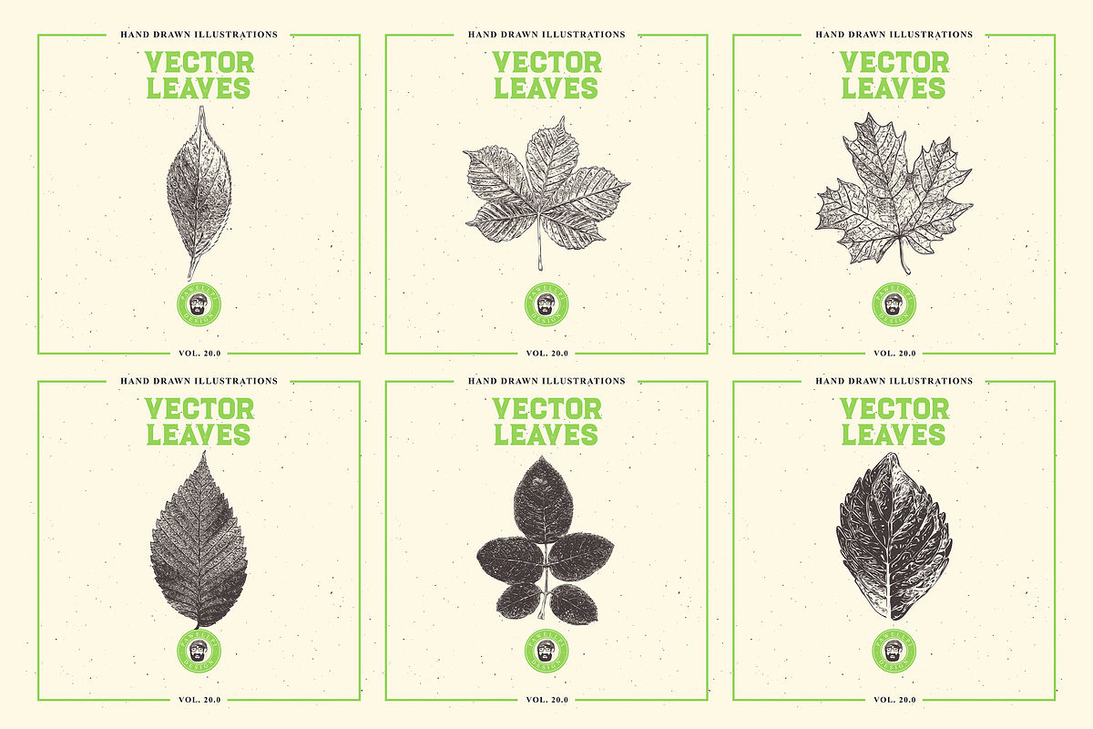 VECTOR LEAVES HAND DRAWN BUNDLE v20, a Decorative Illustration by pawellpi (Photo 3 of 7)