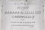 Paris 1920 Script & Sans, a Script Font by BlueRobinDesignShop (Thumbnail 9 of 10)