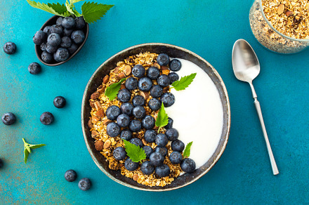 Granola with yogurt and blueberries, a Food & Drink Photo by Pandateam