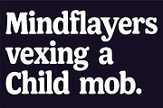 Sidequest: A Friendly Round Serif, a Font by Press & Pen (Thumbnail 5 of 7)