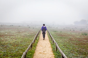 Traveler woman on a field by fog, a Person Photo by Shootdiem