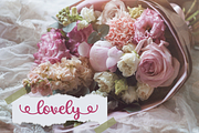 Allexa | Script Font, a Script Font by Suntype | Sunshine Std (Thumbnail 10 of 10)