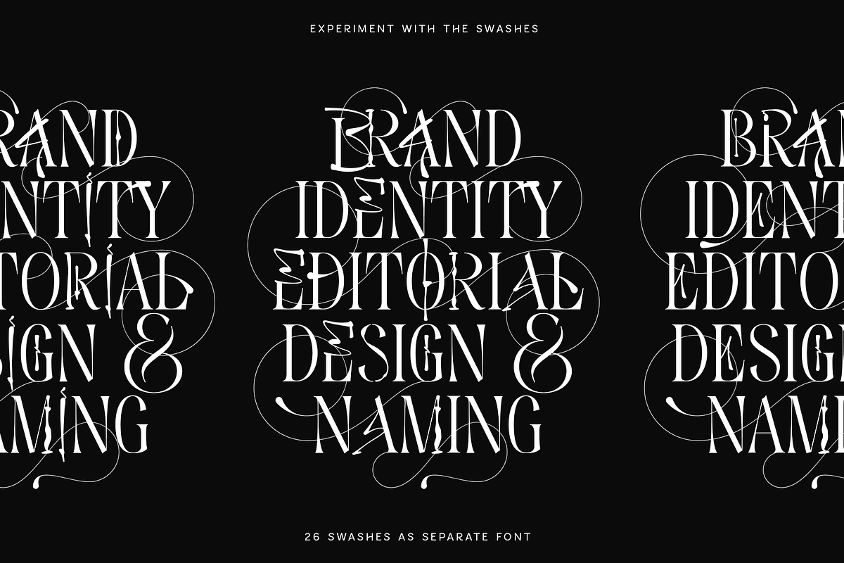 Everline - Luxury Serif Font Family, a Serif Font by VP Fonts (Photo 18 of 22)